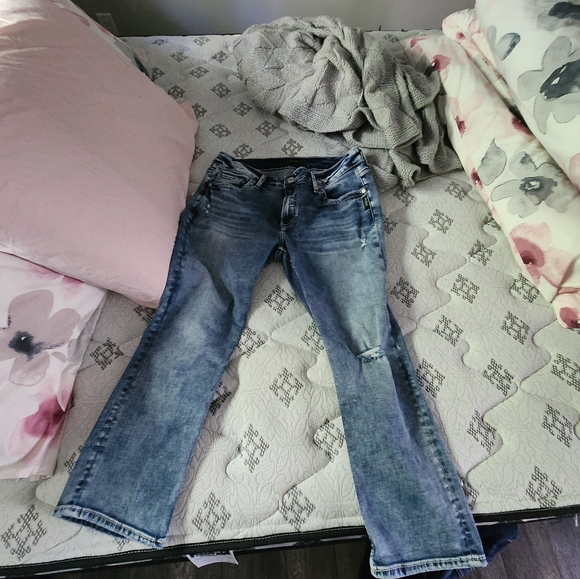 Silver Elise Capris - Picture 2 of 5